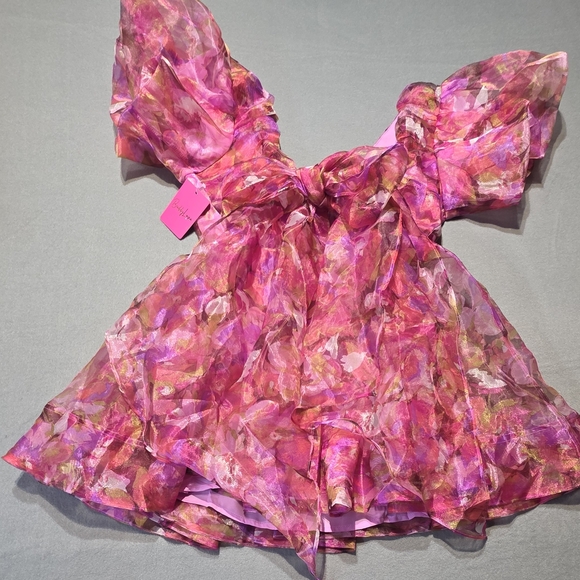 NWT Buddy Love Pink and Purple Floral Dainty Elegant Puff Sleeve Dress M PTP 19 - Picture 4 of 6